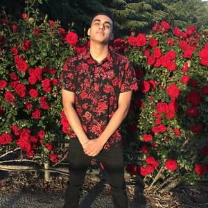 Meet your Posher, Emanuel